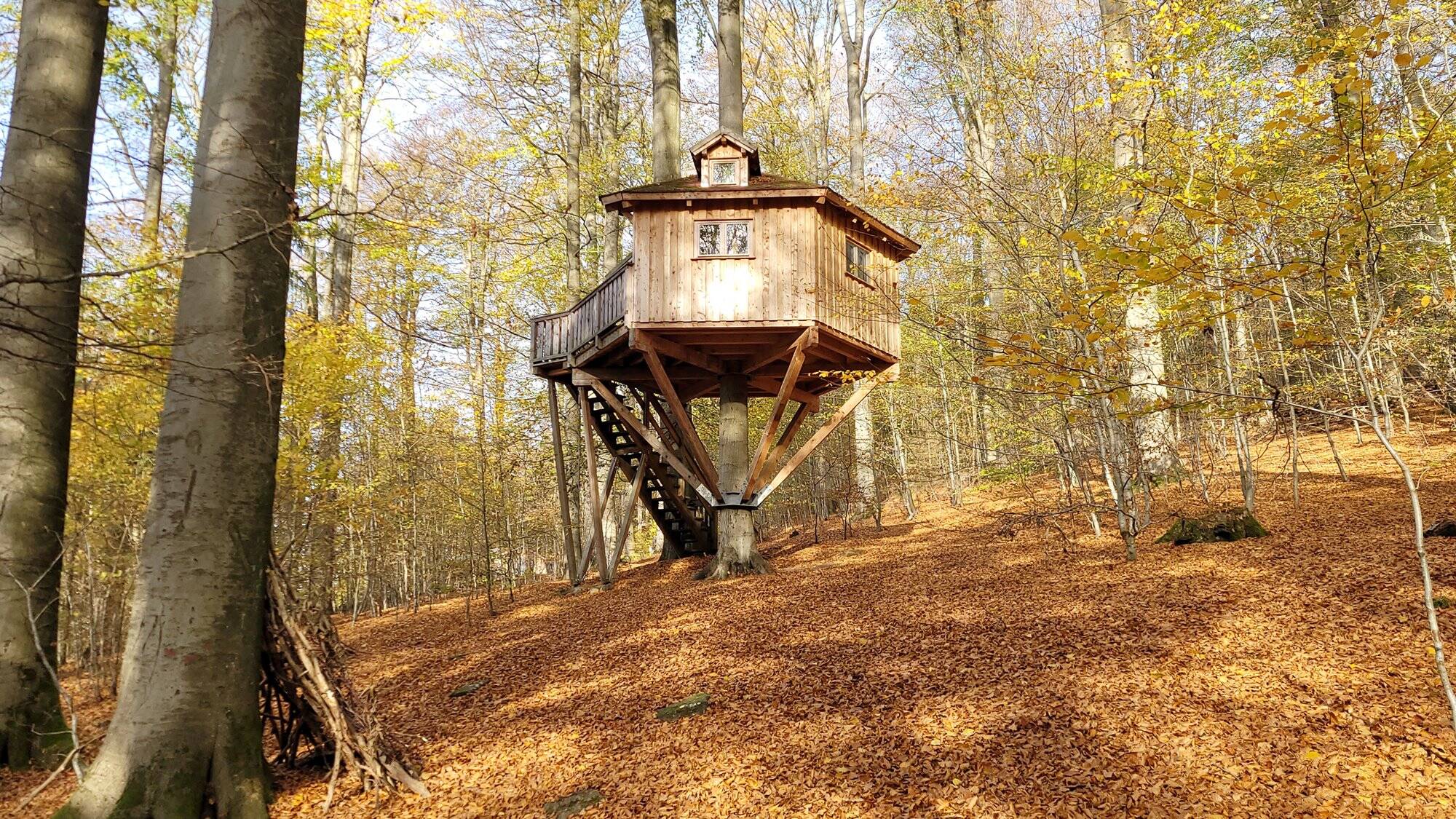 Wunderschne Baumhaushotel Solling Gmbh Ebenbild